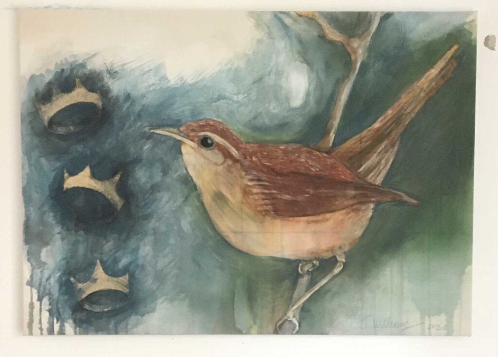 Ornithology: Wren