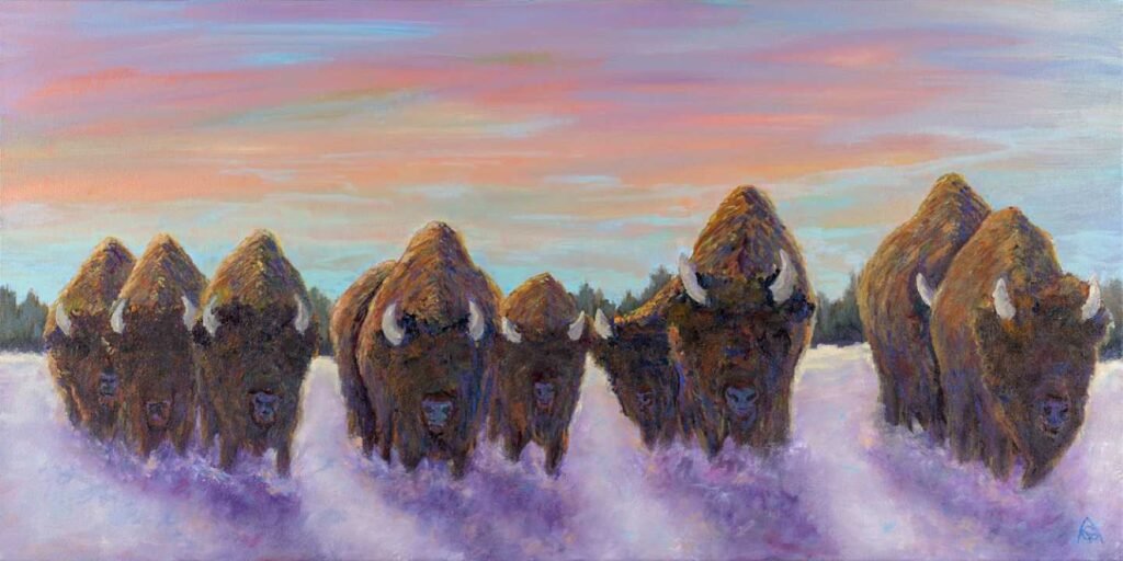 Field of Bison