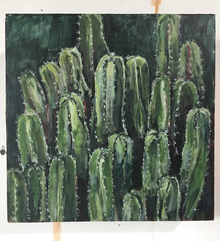 Silver Lake Cactus