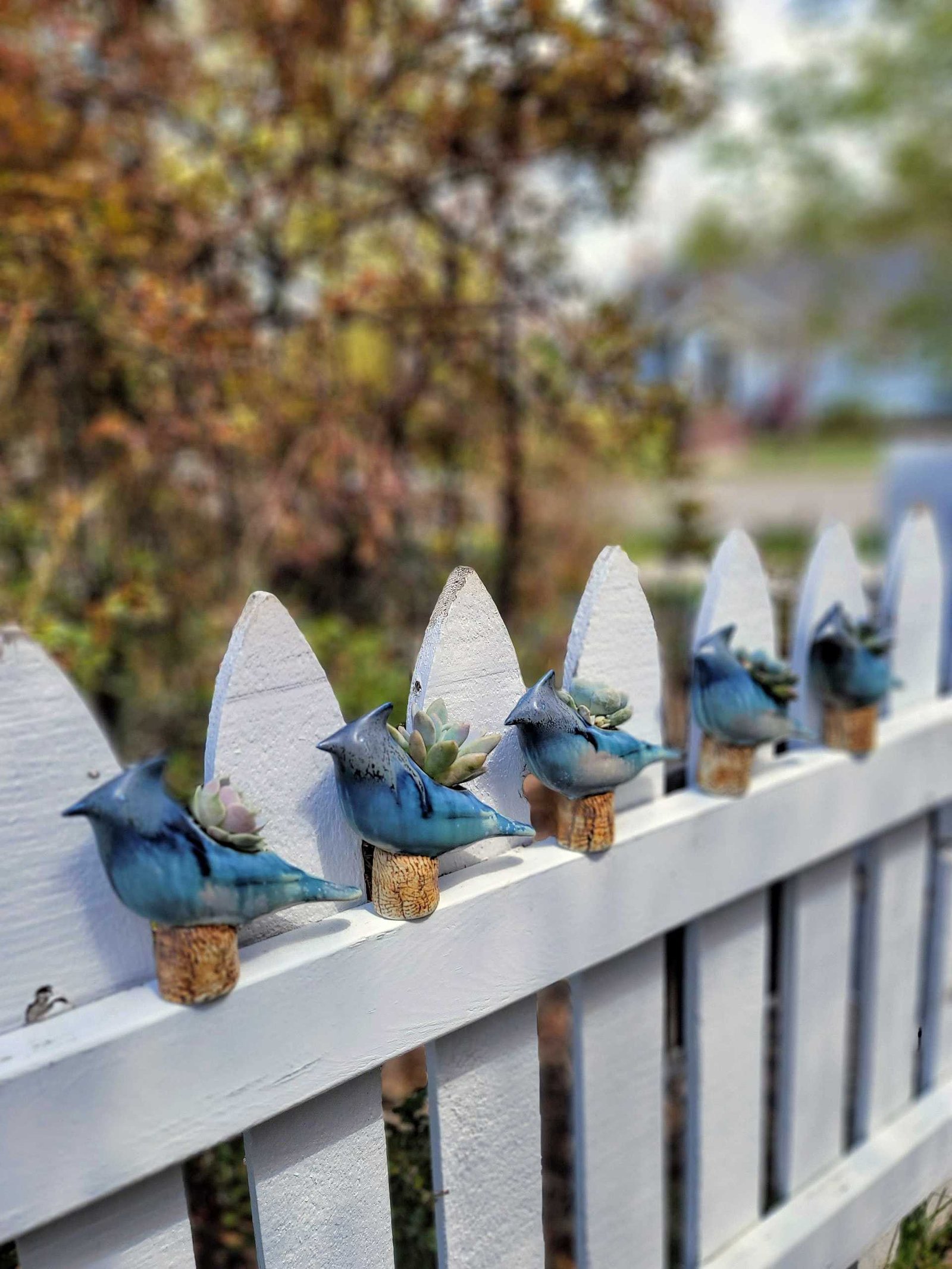 Evy Jenkins - Hero Image