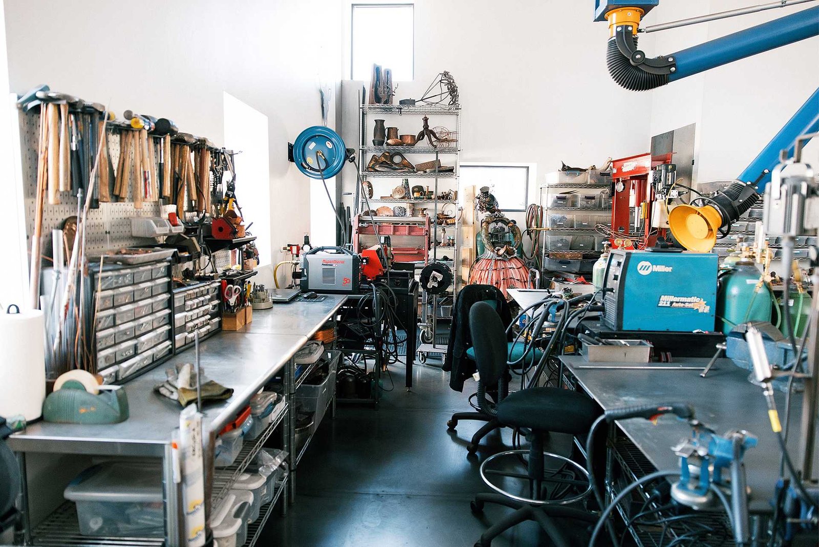 Delia Dante - Hero Image