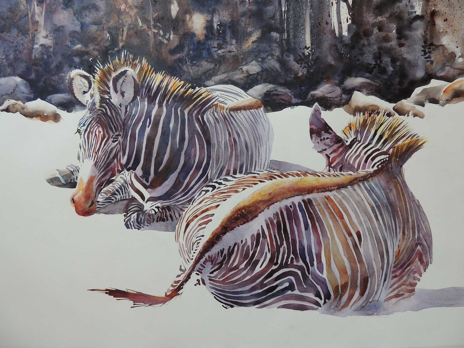 Lauren Johnson - Hero Image