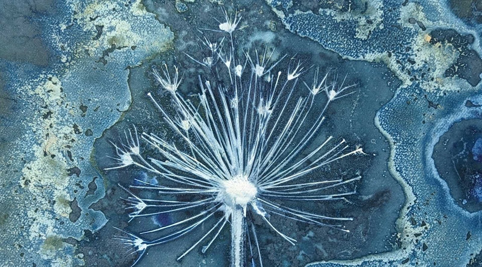 Jessie Swimeley - Hero Image