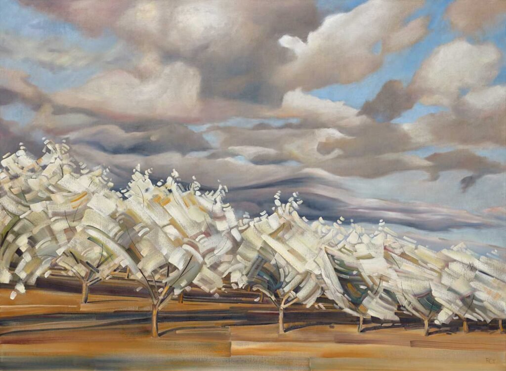 San Joachin Valley Almond Grove